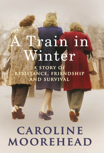 A Train in Winter