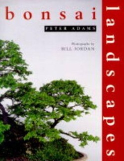 Bonsai Landscapes