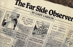 "The Far Side Observer