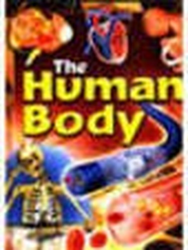 The Human Body