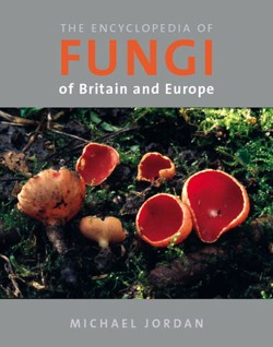 The Encyclopedia of Fungi of Britain and Europe