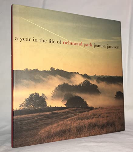 A Year in the Life of Richmond