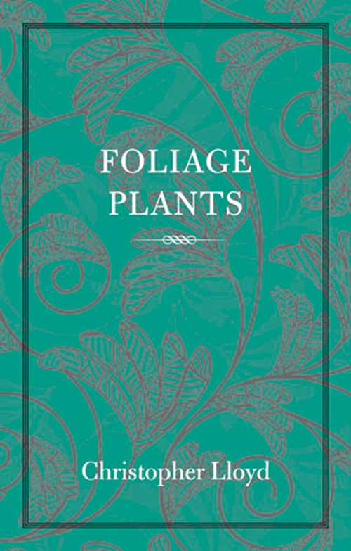 Foliage Plants