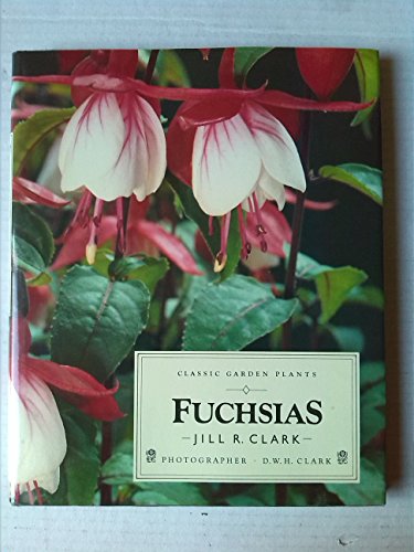 Fuchsias