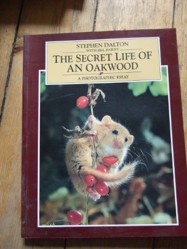 The Secret Life of an Oak Wood