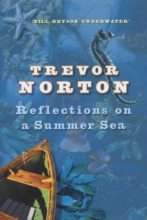 Reflections On A Summer Sea