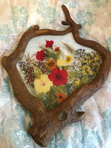 Making Pressed Flower Pictures