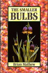 The Smaller Bulbs