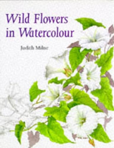 WILD FLOWERS IN WATERCOLOUR