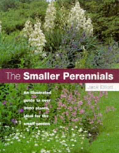 SMALLER PERENNIALS