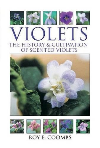 VIOLETS