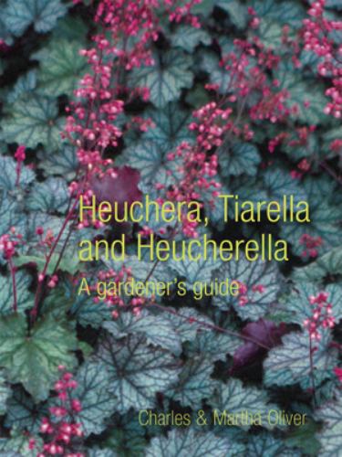Heuchera, Tiarella and Heucherella