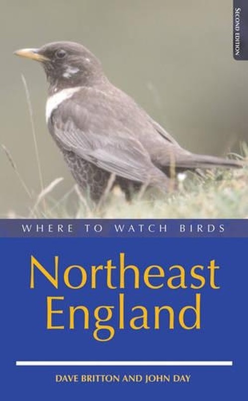 Where to Watch Birds in Northeast England