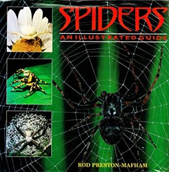 Spiders and Scorpions