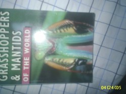 Grasshoppers and Mantids of the World