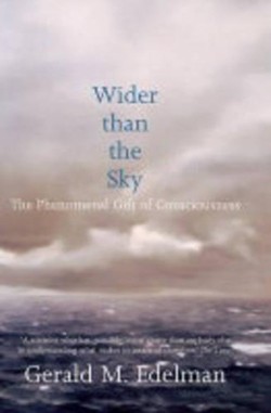 Wider Than the Sky