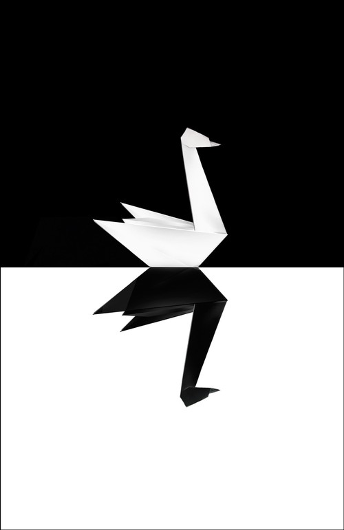The Black Swan