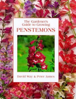 Gardener'S Guide - Penstemons