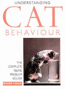 Understanding Cat Behaviour
