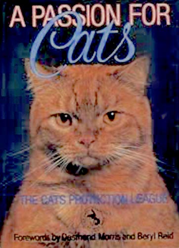 A Passion for Cats