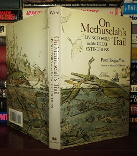 On Methuselah's Trail