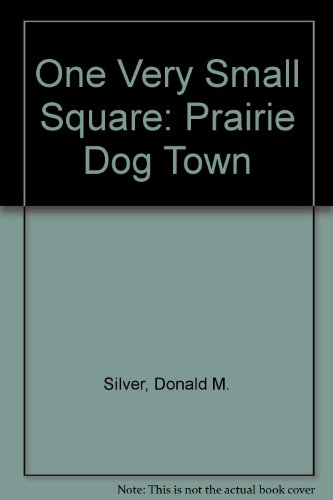 One Very Small Square