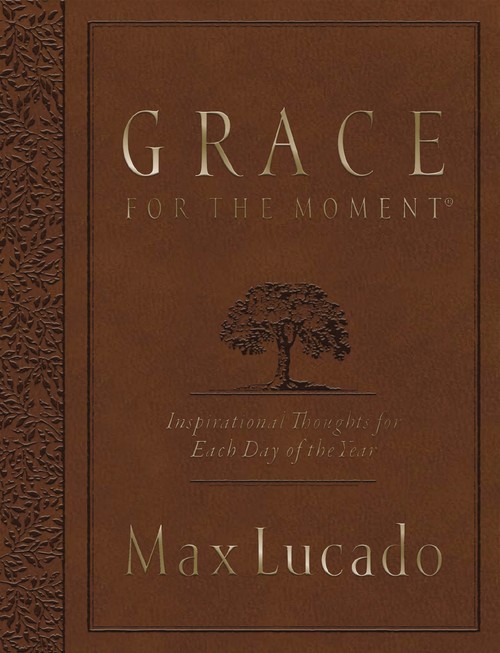 Grace for the Moment Volume I, Large Text Flexcover