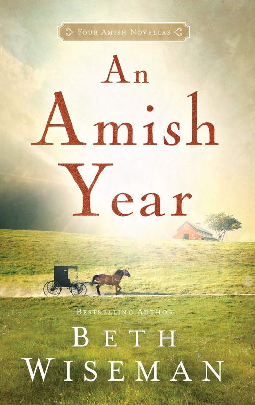 An Amish Year