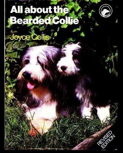 All About the Bearded Collie