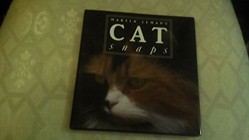 Catsnaps