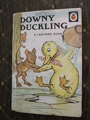 Downy Duckling