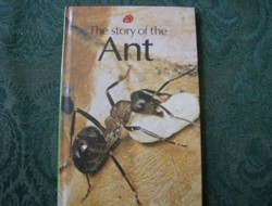 The Story of the Ant