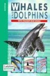 Whales and Dolphins