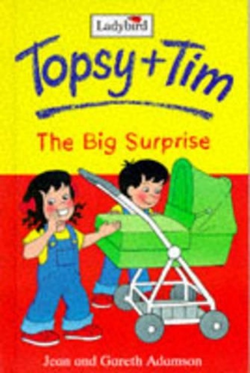 Topsy and Tim: The Big Surprise