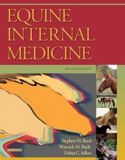 Disorders of the Urinary System Chapter 18 Equine Internal Medicine