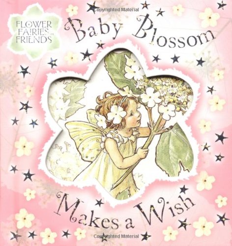 Flower Fairies Friends: Baby Blossom Makes A Wish