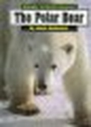 The Polar Bear