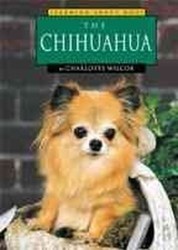The Chihuahua