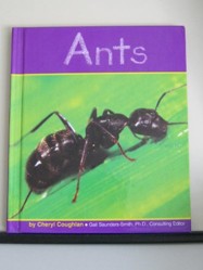 Ants
