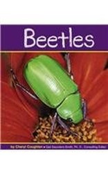 Beetles