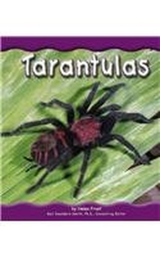 Tarantulas