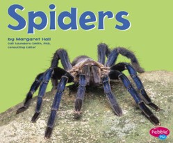 Spiders