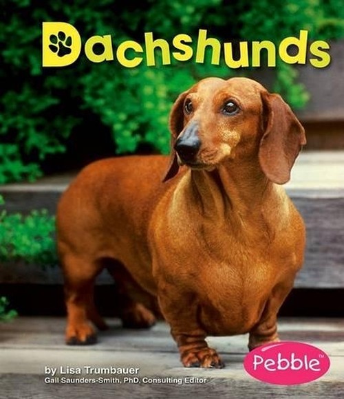 Dachshunds