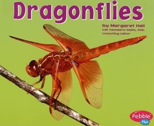 Dragonflies