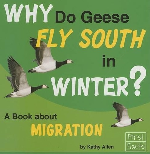 Why Do Geese Fly South in the Winter?