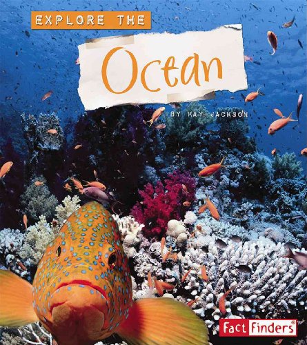 Explore the Ocean