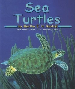Sea Turtles