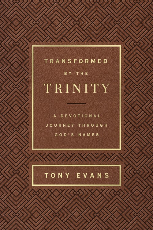 Transformed by the Trinity (Milano Softone)
