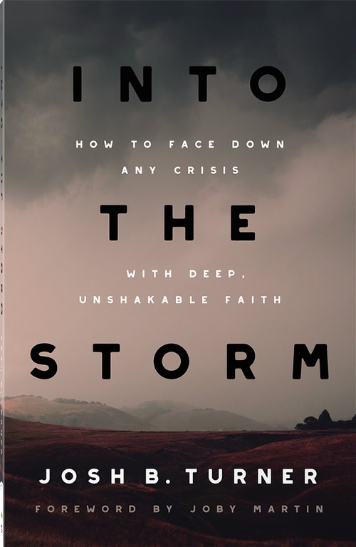 Into the Storm