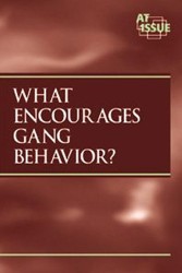 What Encourages Gang Behavior?